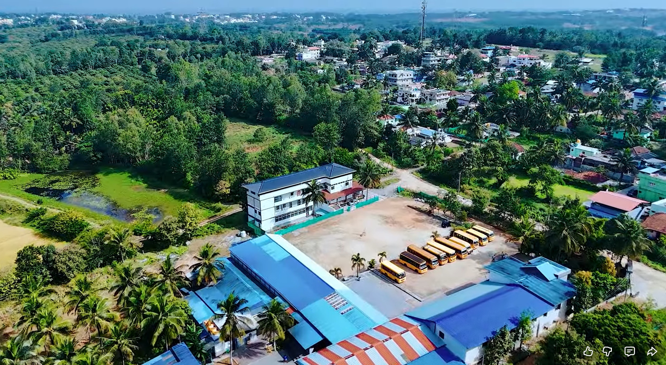 Collage view